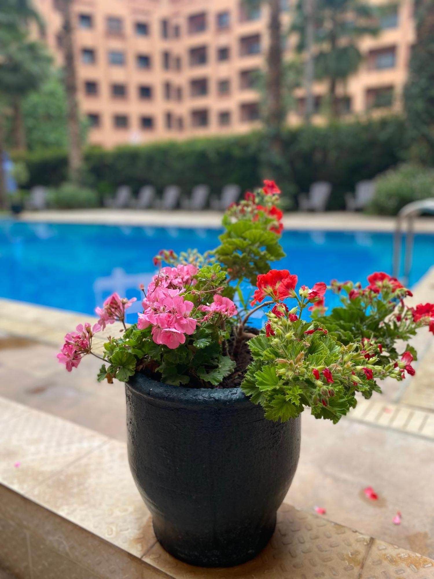 Résidence Caprice Palace Hivernage Marrakesh Esterno foto