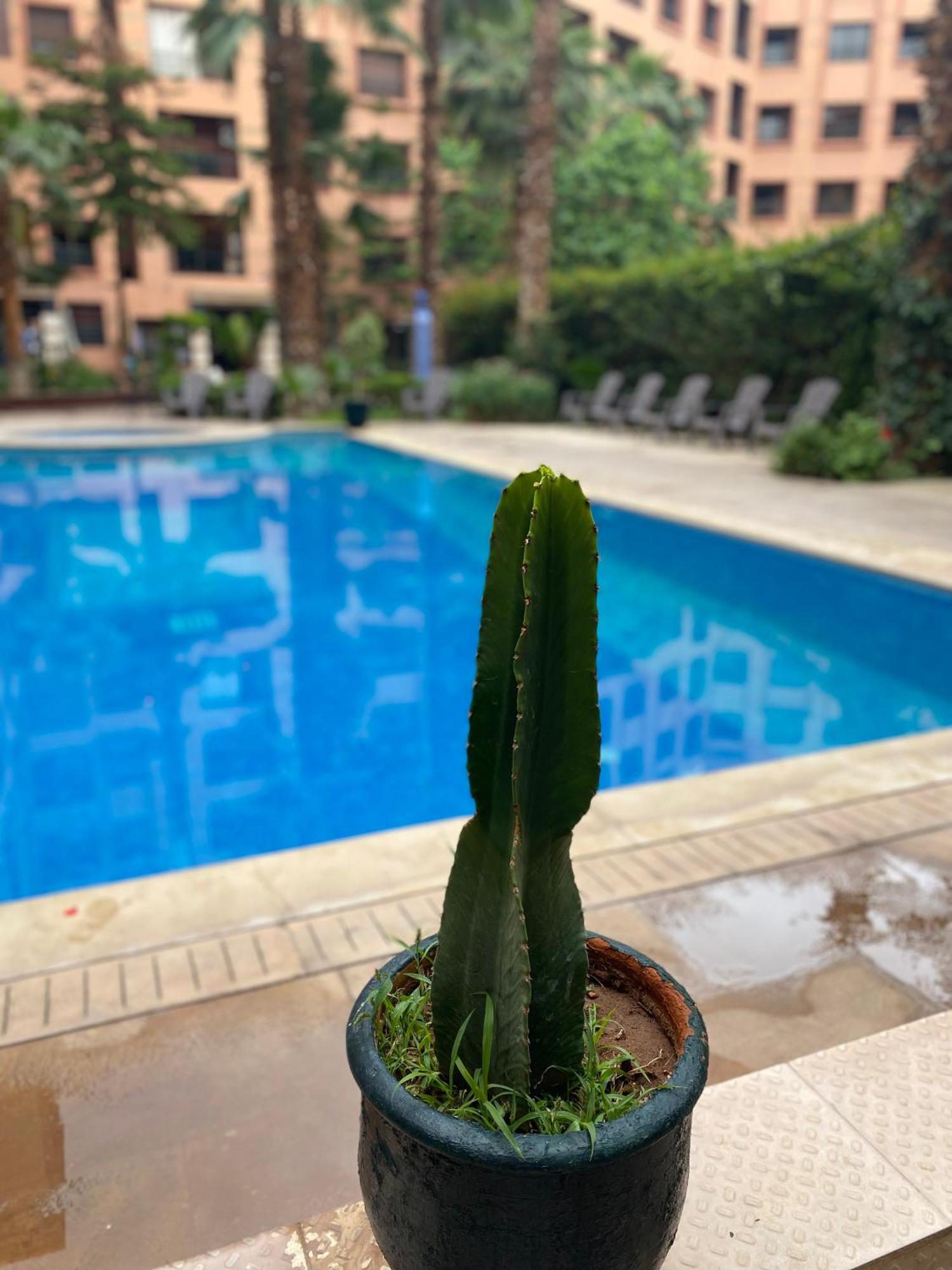 Résidence Caprice Palace Hivernage Marrakesh Esterno foto