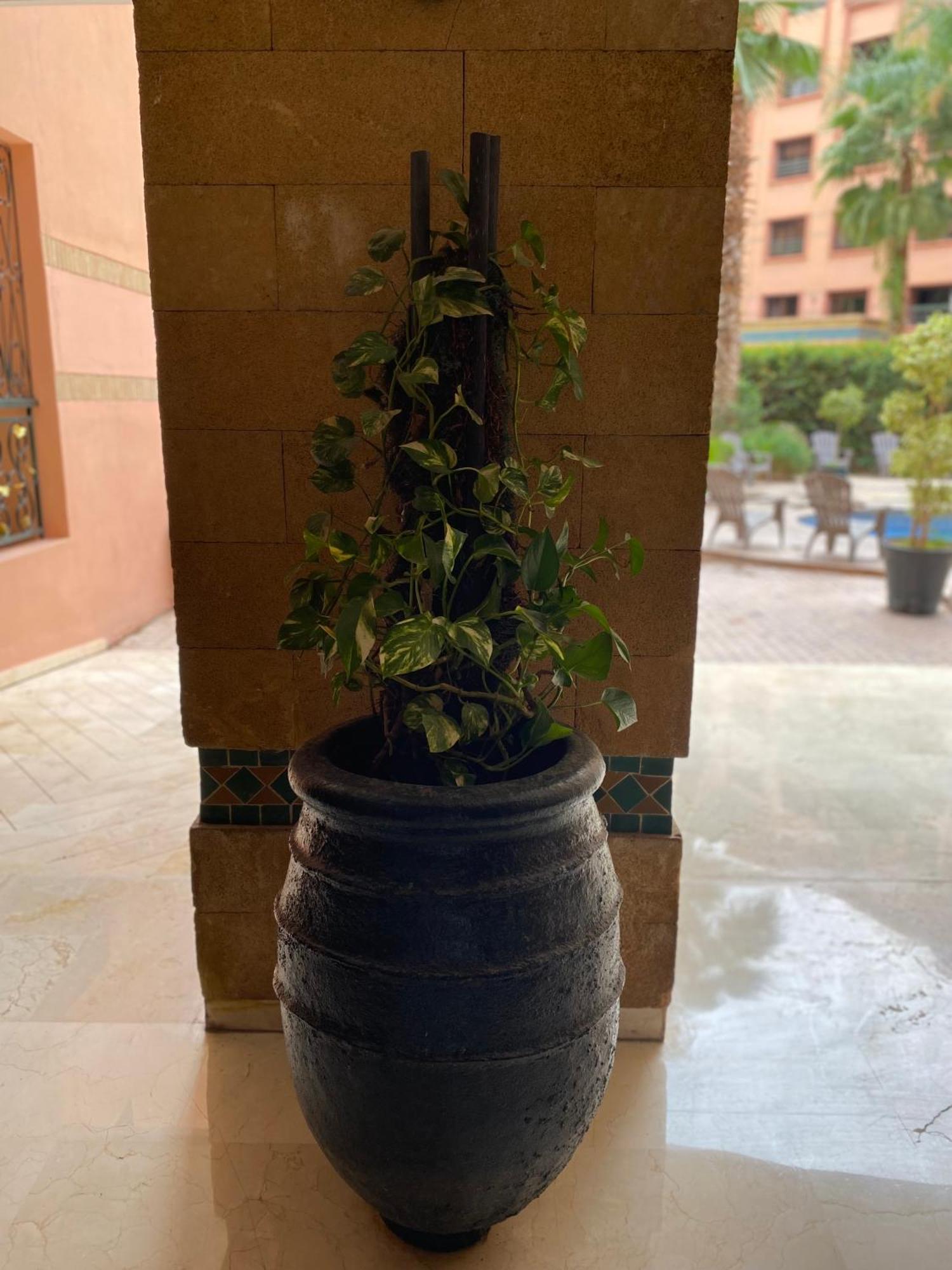 Résidence Caprice Palace Hivernage Marrakesh Esterno foto